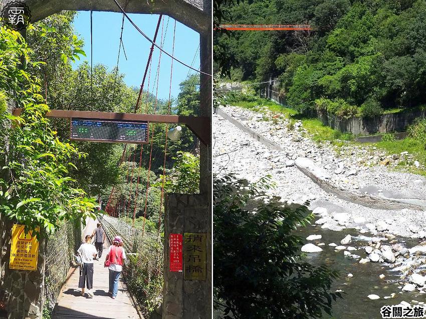 夏天谷關真有趣！谷關漫遊看神木、走步道、漫畫嘉年華，原鄉體驗，還有免費美食請你吃！