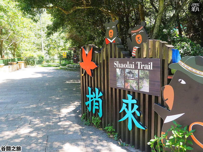 夏天谷關真有趣！谷關漫遊看神木、走步道、漫畫嘉年華，原鄉體驗，還有免費美食請你吃！