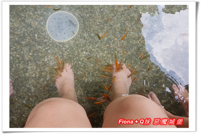 【谷關半日遊】百菇莊觀賞各式菇類，白冷冰棒消暑氣，點心白冷肉包大顆又好吃，八仙山轉彎處戲水，谷關小魚泡腳，沿途走走停停，慢慢享受吃、喝、玩、樂，很輕鬆的半日遊 !