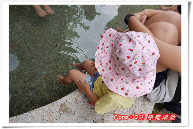 【谷關半日遊】百菇莊觀賞各式菇類，白冷冰棒消暑氣，點心白冷肉包大顆又好吃，八仙山轉彎處戲水，谷關小魚泡腳，沿途走走停停，慢慢享受吃、喝、玩、樂，很輕鬆的半日遊 !