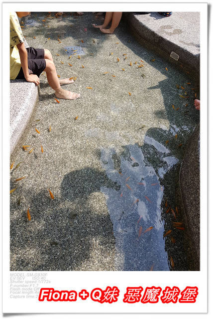 【谷關半日遊】百菇莊觀賞各式菇類，白冷冰棒消暑氣，點心白冷肉包大顆又好吃，八仙山轉彎處戲水，谷關小魚泡腳，沿途走走停停，慢慢享受吃、喝、玩、樂，很輕鬆的半日遊 !