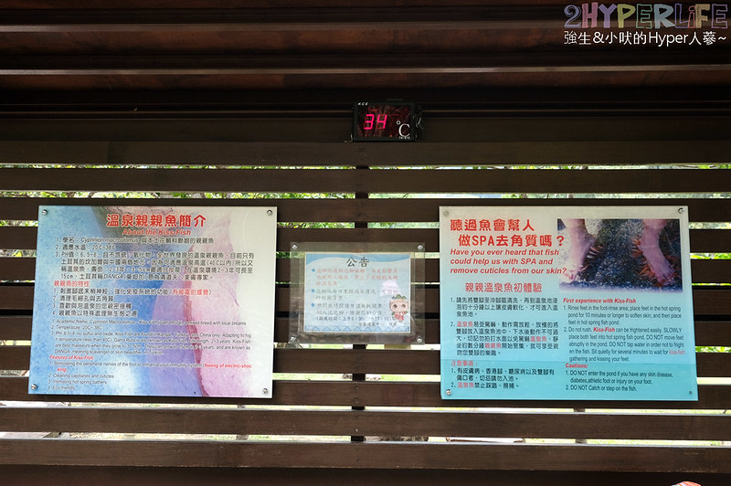 2019台中好湯溫泉季,古拉斯泰雅風味餐,台中旅遊,台中景點,山東開心小館,捎來吊橋,捎來步道,白冷冰棒,神木谷大飯店,谷關吊橋,谷關旅遊,谷關景點,谷關溫泉公園,谷關溫泉廣場,谷關溫泉漫畫嘉年華,谷關美食,谷關美食景點懶人包,谷關行程,谷關遊客中心 @強生與小吠的Hyper人蔘~