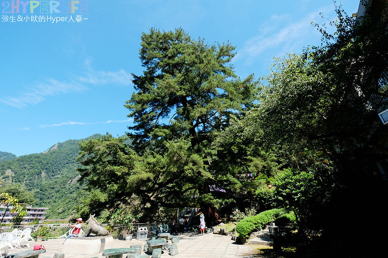 2019台中好湯溫泉季,古拉斯泰雅風味餐,台中旅遊,台中景點,山東開心小館,捎來吊橋,捎來步道,白冷冰棒,神木谷大飯店,谷關吊橋,谷關旅遊,谷關景點,谷關溫泉公園,谷關溫泉廣場,谷關溫泉漫畫嘉年華,谷關美食,谷關美食景點懶人包,谷關行程,谷關遊客中心 @強生與小吠的Hyper人蔘~