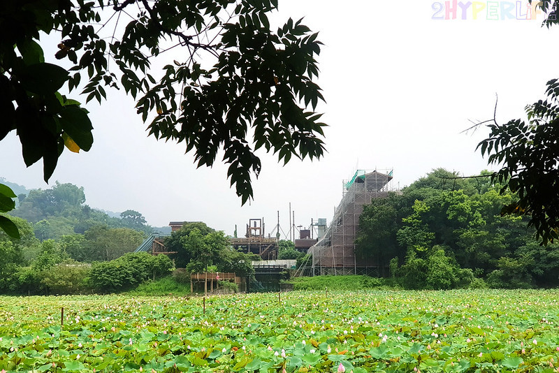 2019台中好湯溫泉季,古拉斯泰雅風味餐,台中旅遊,台中景點,山東開心小館,捎來吊橋,捎來步道,白冷冰棒,神木谷大飯店,谷關吊橋,谷關旅遊,谷關景點,谷關溫泉公園,谷關溫泉廣場,谷關溫泉漫畫嘉年華,谷關美食,谷關美食景點懶人包,谷關行程,谷關遊客中心 @強生與小吠的Hyper人蔘~