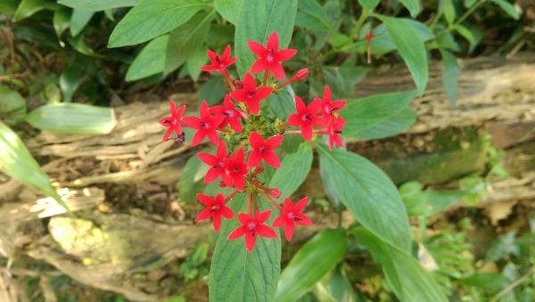 IMAG0745.jpg IMAG0745.jpg