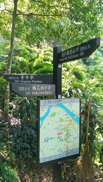 IMAG0705.jpg IMAG0705.jpg