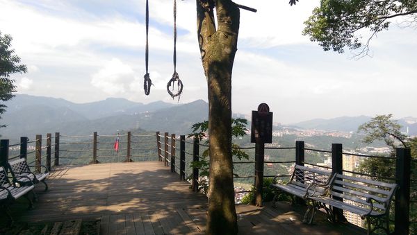 IMAG0735.jpg IMAG0735.jpg