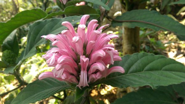 IMAG0743.jpg IMAG0743.jpg