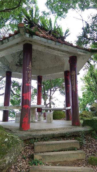 IMAG0784.jpg IMAG0784.jpg