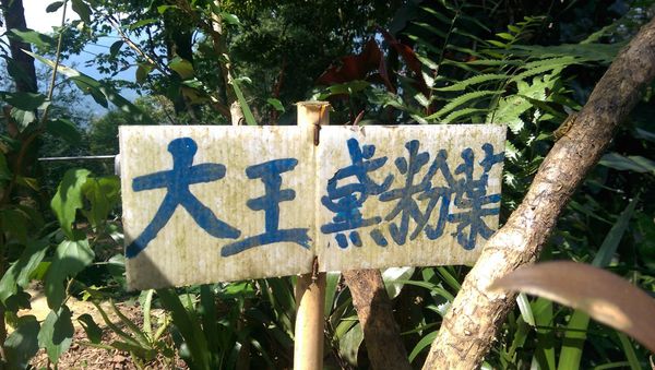 IMAG0759.jpg IMAG0759.jpg