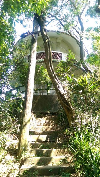 IMAG0717.jpg IMAG0717.jpg