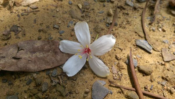 IMAG0748.jpg IMAG0748.jpg