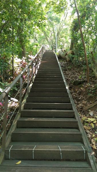 IMAG0704.jpg IMAG0704.jpg