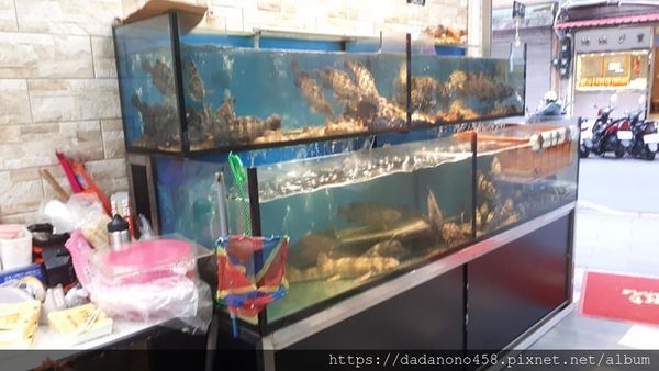 48312930_1058915130946579_2283060711674347520_n