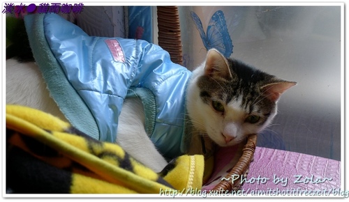 淡水●貓雨咖啡廳(Part I)