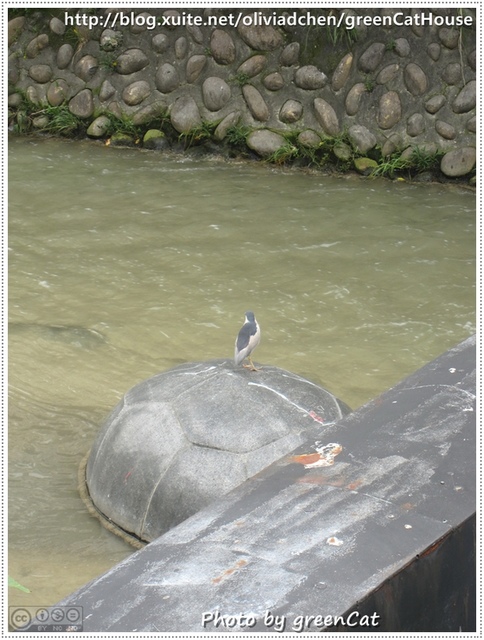 台中●宮原眼科