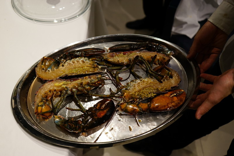 自已的龍蝦,自已花現--加line好友送龍蝦--現場打卡送龍蝦--史上最好吃的科學料理龍蝦套餐--活跳跳的活龍蝦精心計算,科學烹調是最美味的龍蝦料理--法月龍蝦大贈送不來可惜喔