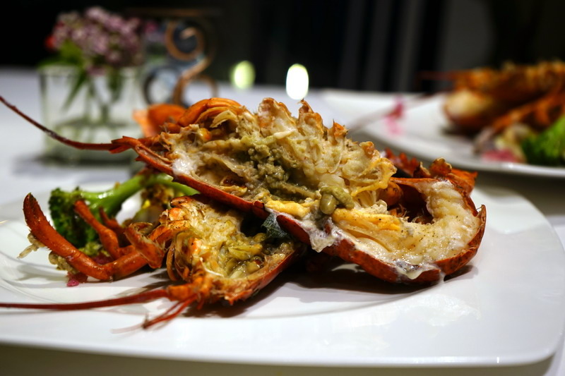 自已的龍蝦,自已花現--加line好友送龍蝦--現場打卡送龍蝦--史上最好吃的科學料理龍蝦套餐--活跳跳的活龍蝦精心計算,科學烹調是最美味的龍蝦料理--法月龍蝦大贈送不來可惜喔