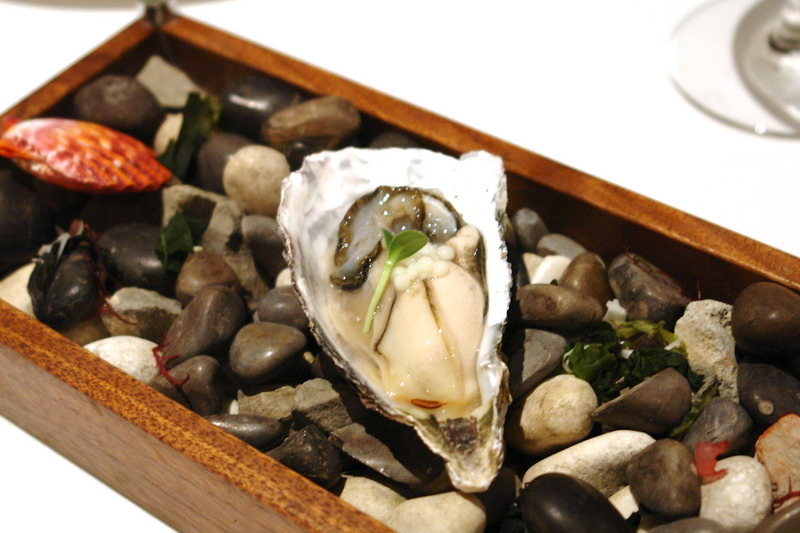 白松露豪華饗宴--高貴精品奢華--史上無敵白松露--頂級珍饈伊比利豬--一期一會--一生至少來一回--法月當代法式料理