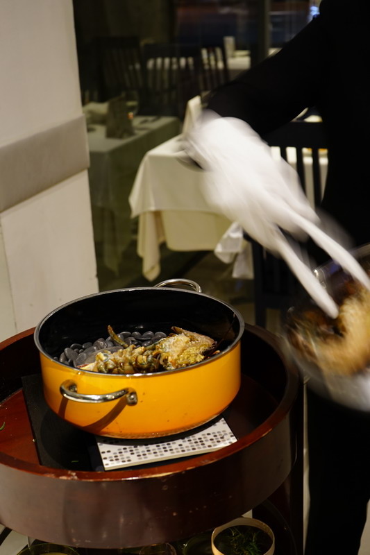 自已的龍蝦,自已花現--加line好友送龍蝦--現場打卡送龍蝦--史上最好吃的科學料理龍蝦套餐--活跳跳的活龍蝦精心計算,科學烹調是最美味的龍蝦料理--法月龍蝦大贈送不來可惜喔