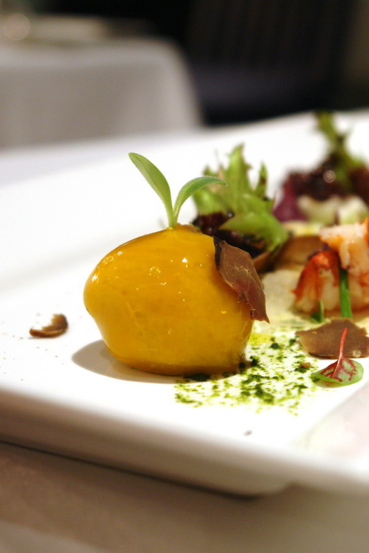 白松露豪華饗宴--高貴精品奢華--史上無敵白松露--頂級珍饈伊比利豬--一期一會--一生至少來一回--法月當代法式料理