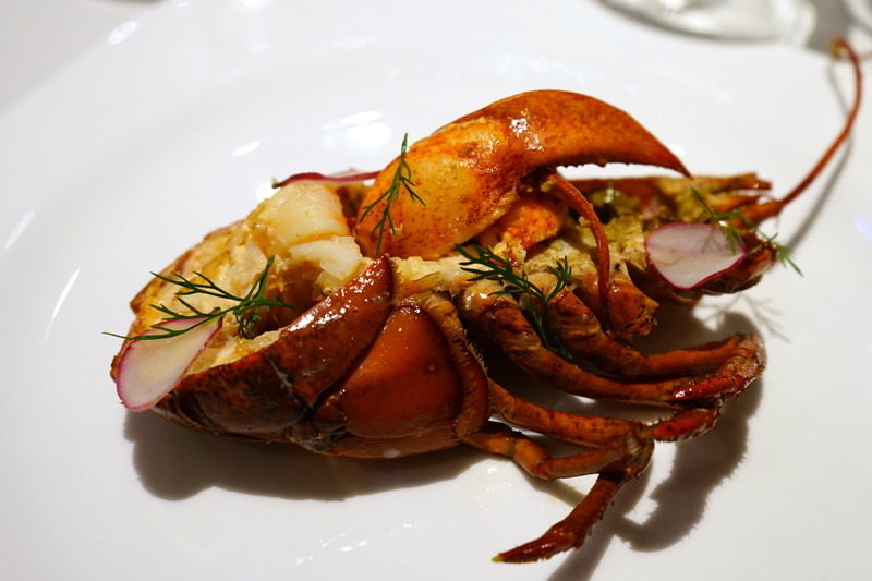 自已的龍蝦,自已花現--加line好友送龍蝦--現場打卡送龍蝦--史上最好吃的科學料理龍蝦套餐--活跳跳的活龍蝦精心計算,科學烹調是最美味的龍蝦料理--法月龍蝦大贈送不來可惜喔