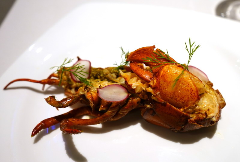 自已的龍蝦,自已花現--加line好友送龍蝦--現場打卡送龍蝦--史上最好吃的科學料理龍蝦套餐--活跳跳的活龍蝦精心計算,科學烹調是最美味的龍蝦料理--法月龍蝦大贈送不來可惜喔