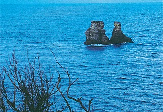 【金山風景點】絕對讓你的金山遊與眾不同!不需花錢的好風光!跳石海岸、一線天、水尾漁港、私人古堡