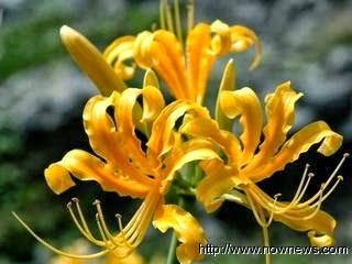 【金山風景點】絕對讓你的金山遊與眾不同!不需花錢的好風光!跳石海岸、一線天、水尾漁港、私人古堡