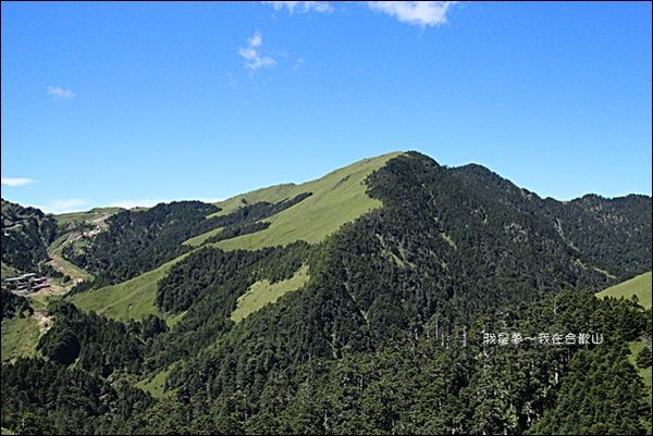 合歡山16.jpg