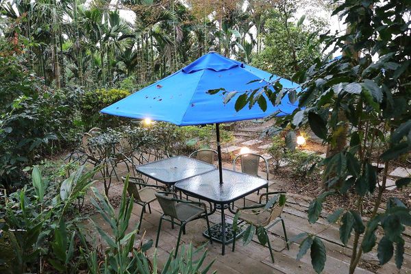 56號藍色公路咖啡：【雲林景點】古坑56號藍色公路咖啡。純白LOVE愛戀造景/咖啡、小火鍋、義大利麵、手工輕食鬆餅、下午茶/藍白色希臘地中海異國風情景觀咖啡廳/製造浪漫的約會求婚聖地