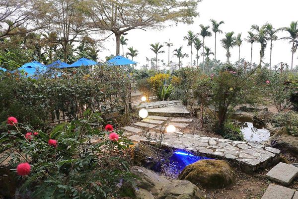 56號藍色公路咖啡：【雲林景點】古坑56號藍色公路咖啡。純白LOVE愛戀造景/咖啡、小火鍋、義大利麵、手工輕食鬆餅、下午茶/藍白色希臘地中海異國風情景觀咖啡廳/製造浪漫的約會求婚聖地