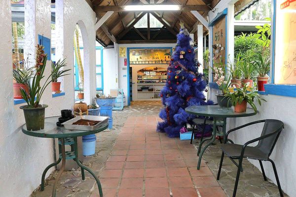 56號藍色公路咖啡：【雲林景點】古坑56號藍色公路咖啡。純白LOVE愛戀造景/咖啡、小火鍋、義大利麵、手工輕食鬆餅、下午茶/藍白色希臘地中海異國風情景觀咖啡廳/製造浪漫的約會求婚聖地