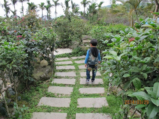 IMG_7323 (660x495) IMG_7323 (660x495)