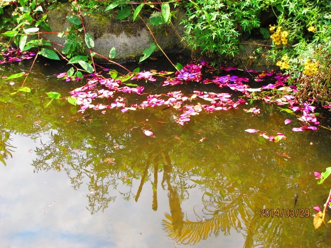 IMG_7352 (660x495) IMG_7352 (660x495)