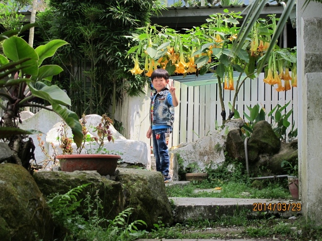 IMG_7330 (660x495) IMG_7330 (660x495)