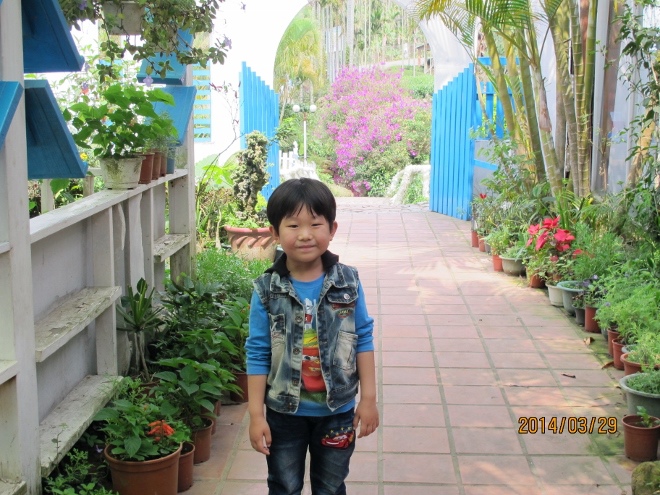 IMG_7337 (660x495) IMG_7337 (660x495)