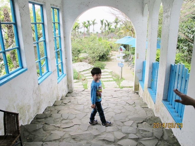 IMG_7346 (660x495) IMG_7346 (660x495)