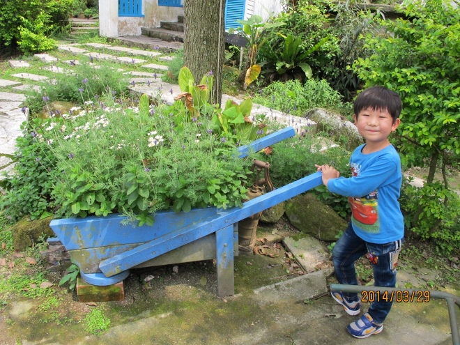 IMG_7345 (660x495) IMG_7345 (660x495)