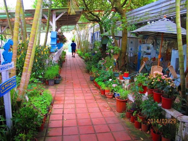 IMG_7331 (660x495) IMG_7331 (660x495)