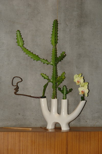 水月齋--咖哩烏龍麵趴