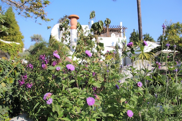綠海咖啡館：【彰化田尾景點】綠海咖啡館~歐式的異國情調，白色希臘城堡，婚紗美拍聖地