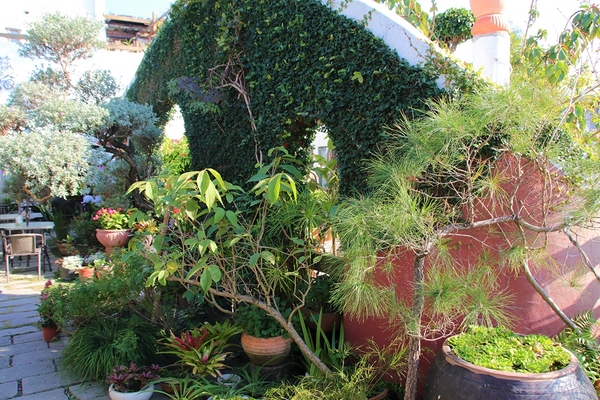 綠海咖啡館：【彰化田尾景點】綠海咖啡館~歐式的異國情調，白色希臘城堡，婚紗美拍聖地