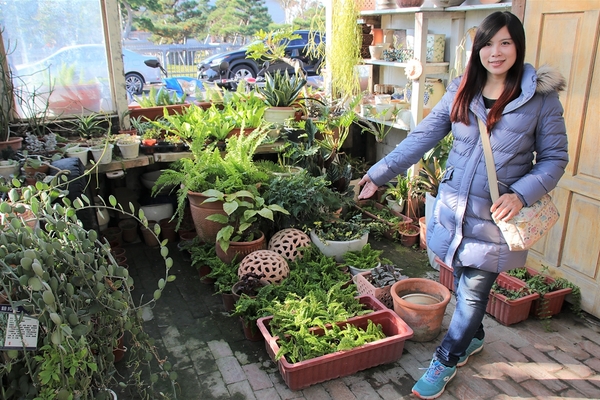 綠海咖啡館：【彰化田尾景點】綠海咖啡館~歐式的異國情調，白色希臘城堡，婚紗美拍聖地