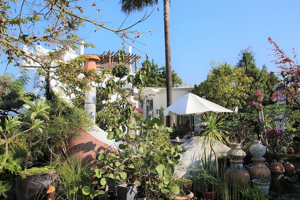 綠海咖啡館：【彰化田尾景點】綠海咖啡館~歐式的異國情調，白色希臘城堡，婚紗美拍聖地