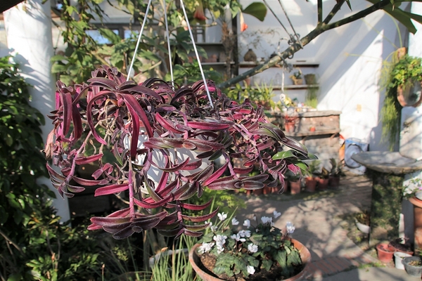 綠海咖啡館：【彰化田尾景點】綠海咖啡館~歐式的異國情調，白色希臘城堡，婚紗美拍聖地