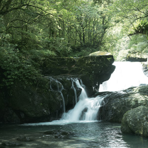 滿月圓森林遊樂區