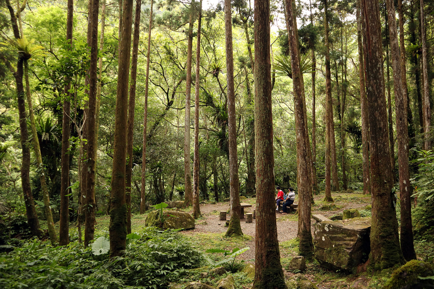 必去三峽景點推薦:滿月圓國家森林遊樂區 必去三峽景點推薦:滿月圓國家森林遊樂區