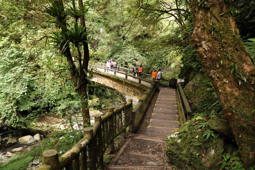 必去三峽景點推薦:滿月圓國家森林遊樂區 必去三峽景點推薦:滿月圓國家森林遊樂區