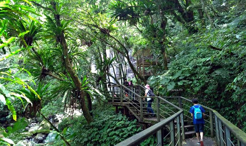滿月圓國家森林遊樂區。天然闊葉林、處女瀑布、滿月圓瀑布,新北景點親子旅遊好去處 - 蘋果話日常